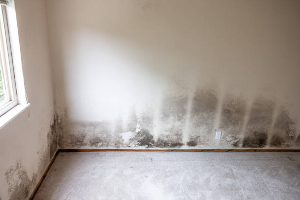 Forensic Mold Investigation in Gallatin, MO